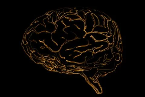 Stylized digital rendering is showing glowing golden wireframe brain against Stock Photos