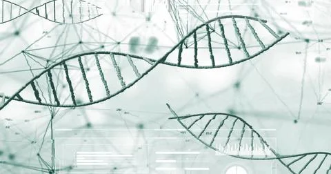 Stylized DNA double helix models floating in data interface, with network nodes Stock Photos