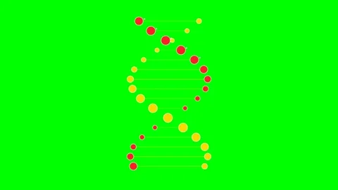 A stylized double helix dna strand composed of yellow and red spheres 库存影片 340263296