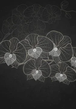 Stylized Drawing With Chalk On Blackboard. Stylized Drawing With Chalk On ... Stock Photos