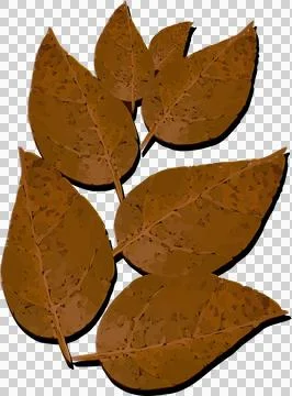 Stylized fall leaf cluster is floating on transparent backdrop, showing seven 스톡 일러스트