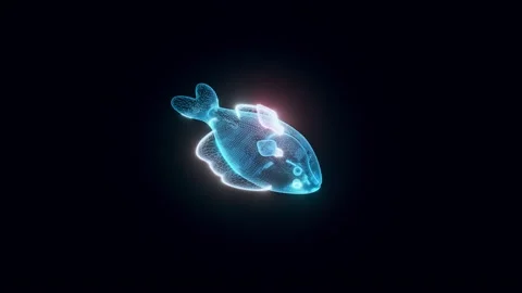 Stylized Fish hologram 4k Stock Footage 148489955