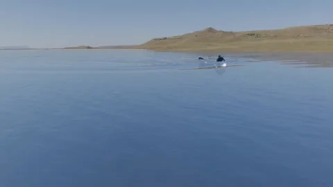 Stylized Fish Swimming on Water Surface Towards Estuary Stock Footage 345101255