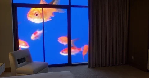 Blue Goldfish Small - Luxury Home Decor