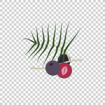 Stylized Flat Acai Berry Cluster with Palm Leaf Illustration Illustrazione stock