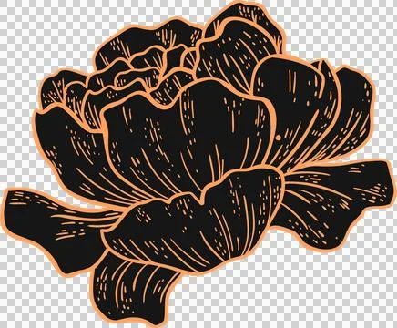 Stylized flat vector flower is featuring layered petals with hatch floating on Stock Illustration