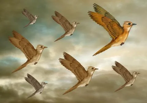 Stylized flock of birds Stock Illustration