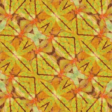 Stylized Floral Background Pattern Digital collage technique decorative st... Foto stock