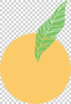 Stylized fruit is showing flat design yellow circle with veined green leaf, Stock Illustration