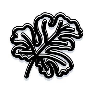 Stylized ginkgo leaf black and white outline doodle Stock Illustration