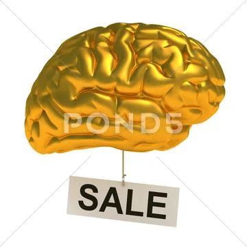 Stylized Golden Brain Stock Illustration
