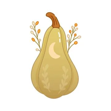 Stylized gourd with moon and herbs boho cottagecore vibe Stock Illustration