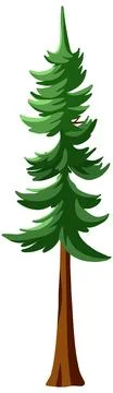 Stylized Green Conifer Tree Vector Illustration on White Background イラスト素材