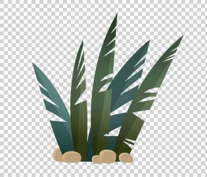 Stylized green foliage with smooth pebbles at its base Stock Illustration