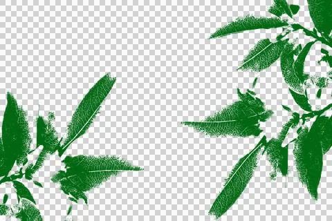 A stylized green leaf branch cutout. Stock Illustration