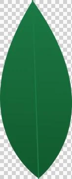 Stylized green leaf is floating in flat vector graphic with central vein, Stock Illustration