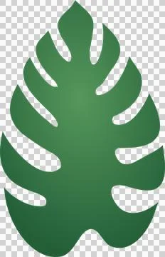 Stylized green monstera-like leaf is floating on transparent background, flat Stock Illustration