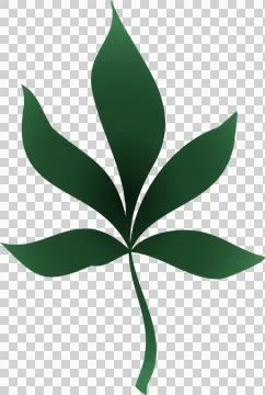 Stylized green palmate leaf is floating on transparent background, featuring Stock Illustration