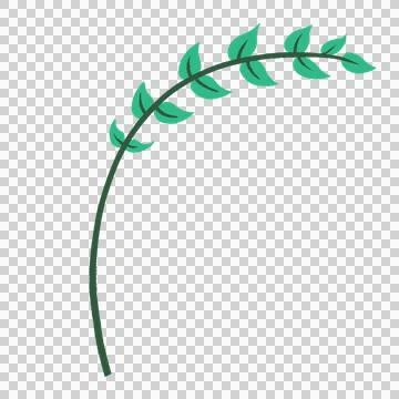 Stylized green vine is arching in flat design, showing leafy arc on transparent Stock Illustration