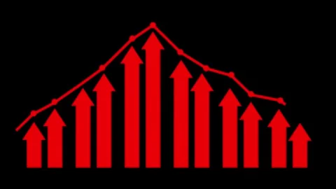 Stylized Growth and Decline Graph Animation, Business Performance Bar Graph.. Stock Footage 310203300