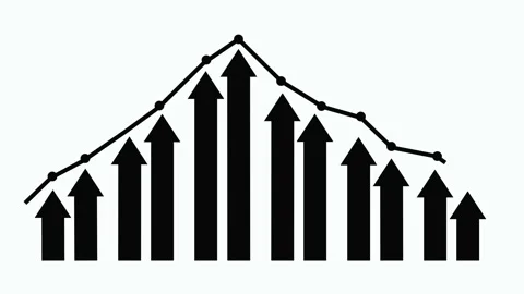 Stylized Growth and Decline Graph Animation, Business Performance Bar Graph.. Stock Footage 310203662