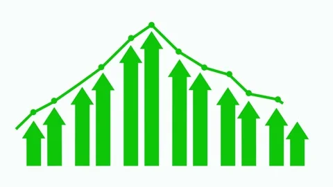 Stylized Growth and Decline Graph Animation, Business Performance Bar Graph.. Stock Footage 310203694