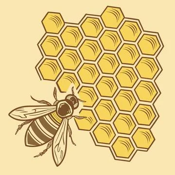 Stylized Hexagonal Honeycomb Pattern Graphic Design Stock Illustration