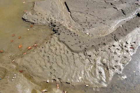 Stylized hint Stock Photos