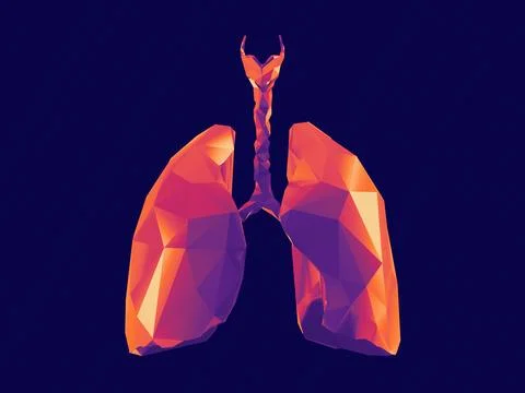 Stylized human low poly lungs 스톡 일러스트