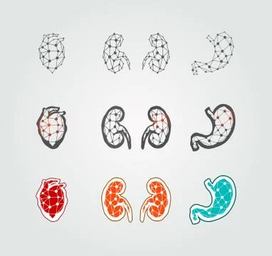 Stylized human organs icons Stock Illustration