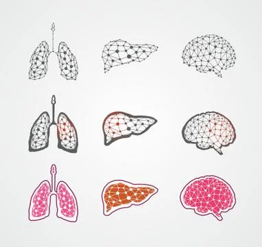 Stylized human organs Ilustração Stock