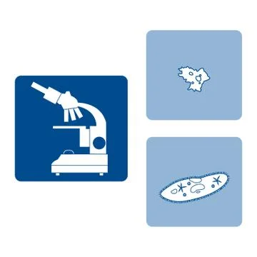 Stylized icons of microscope, amoeba, ciliate-slipper. Laboratory equipment s 스톡 일러스트