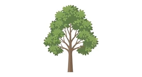 Stylized illustration of healthy deciduous tree with vibrant green leaves a.. Stock Illustration