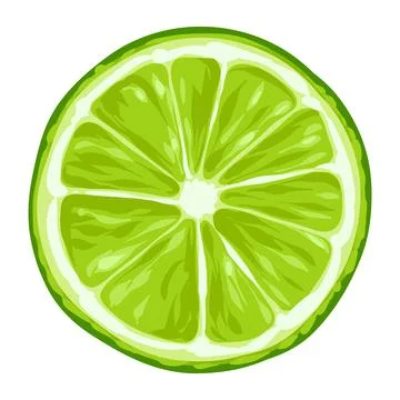 Stylized illustration of lime. Image for design or decoration. Stock Illustration