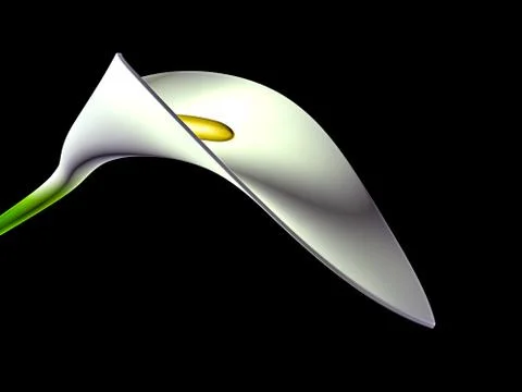 Stylized image of calla lilies on a black background. Stock Illustration
