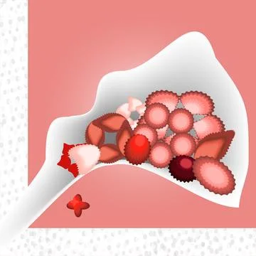A stylized image with colored cookies in a bag. Stock Illustration