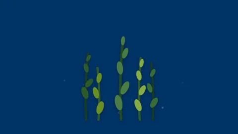 Stylized Kelp Forest Swaying in Deep Blue Ocean Current Seamless Loop Stock Footage 346612193
