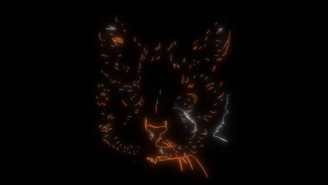 Stylized kitten's face animatio video Stock Footage 111062859