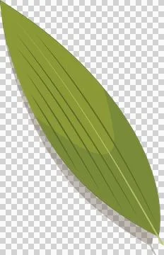 Stylized lanceolate leaf is displaying veins in flat design on transparent Stock Illustration