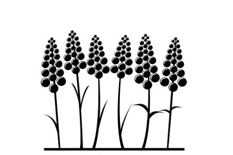 Stylized lavender flower Stock Illustration