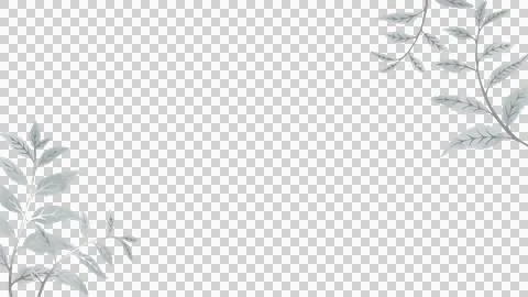 Stylized leaf clusters are forming asymmetric border on transparent canvas with Stock Illustration