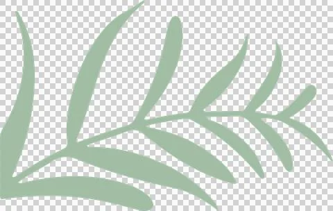 Stylized leafy branch is being shown in flat design, with pale mint green on Stock Illustration