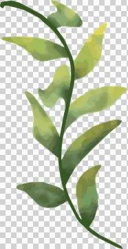Stylized leafy branch is showing gradient texture and painterly shading on Stock Illustration