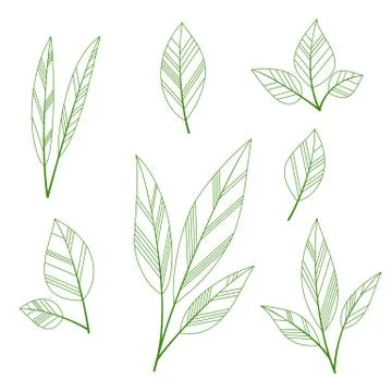 Stylized leaves Illustrazione stock