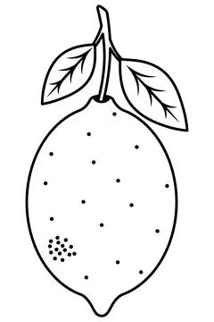 Stylized lemon with leaves. Sketch. Vector black and white illustration. Stock Illustration