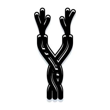 Stylized letter y creating decorative typography design Stock Illustration