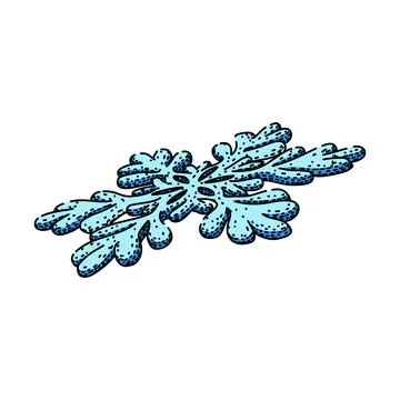 Stylized light blue branching snowflake pattern illustration Stock Illustration