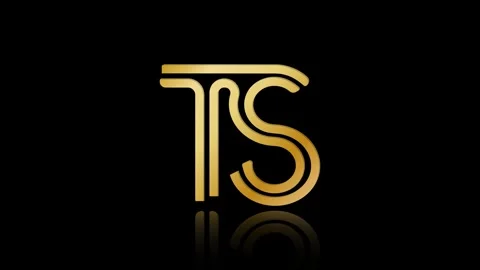 Stylized lowercase T and S with reflections Stock Footage 320101257