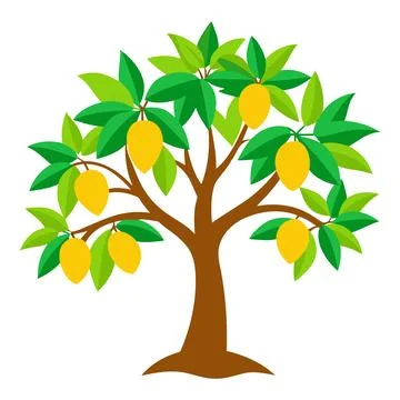 Stylized Mango Tree with Yellow Fruit and Leaves Stock Illustration