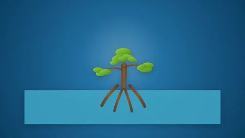 Stylized Mangrove Tree with Arching Prop Roots Swaying Gently in Blue Coast.. Stock-Footage 346202201